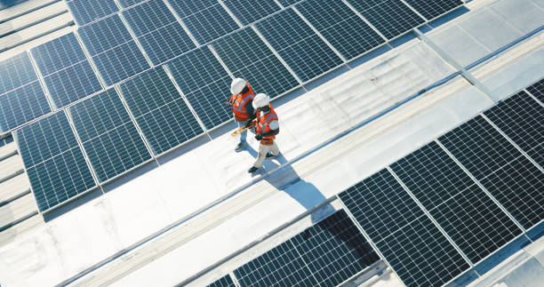 Best Roof Moss and Algae Removal  in Somerset, MD