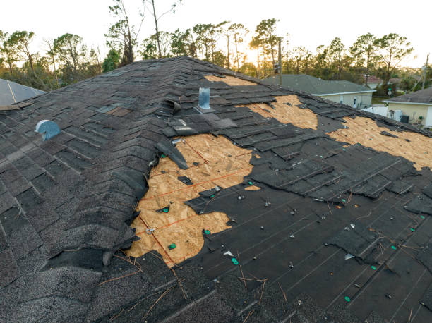 Best Roof Waterproofing  in Somerset, MD