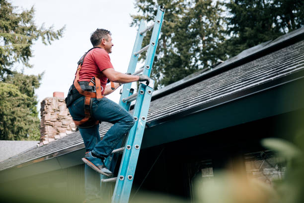 Best Sheet Metal Roofing  in Somerset, MD