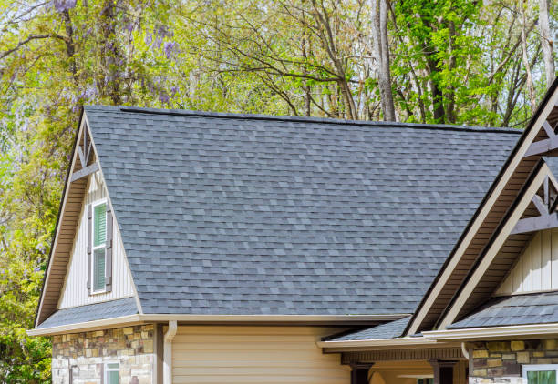 Best Roof Coating Services  in Somerset, MD